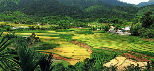 蜡笔小新新婚旅行国语版在哪看