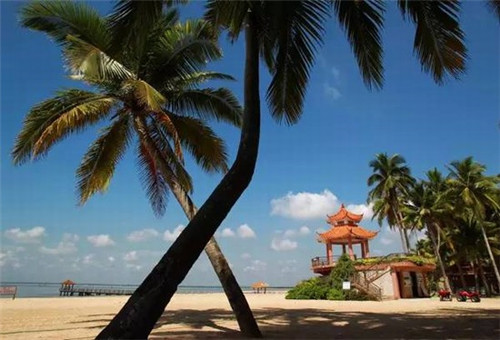 纳库鲁湖旅行趣事