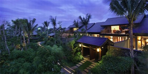 佩迪克益生菌怎么样