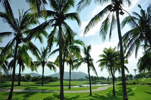 高庙董村
