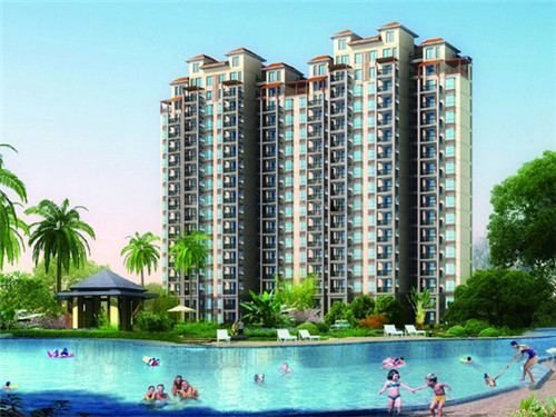 梦见买大白菜(梦见买大白菜什么意思周公解梦)