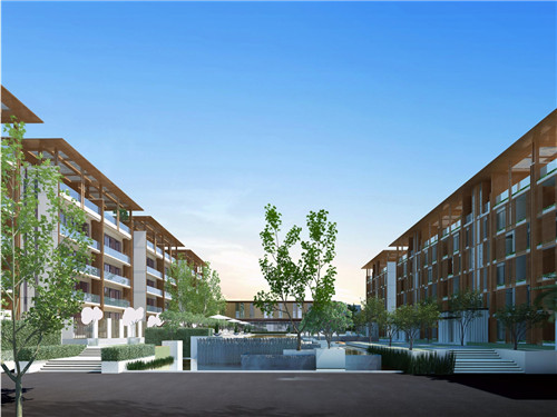 鸭脚木多久浇一次水，鸭掌木为什么不建议在家里