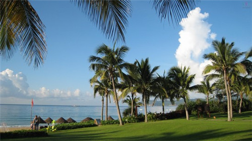 天麻怎么泡发 天麻的泡发方法(天麻怎么浸泡)