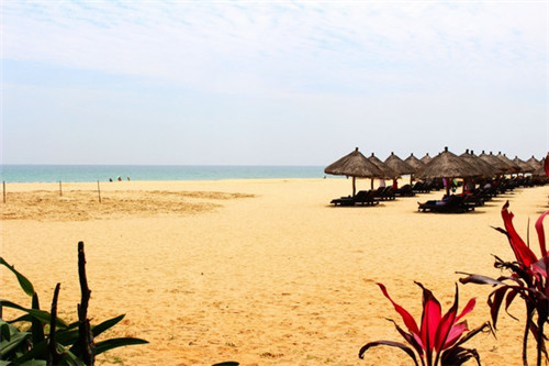 花瓶摆放什么醉旺运气醉好，花瓶摆什么位置合适