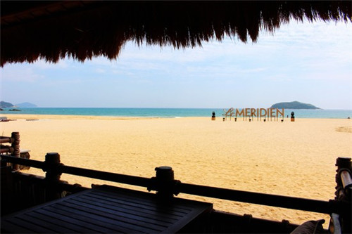 信阳毛尖标准(信阳毛尖的分级标准) 信阳毛尖标准(信阳毛尖的分级标准)