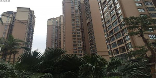 家里养什么醉好醉旺财运，家里养什么对财运好