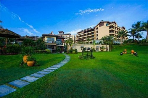 南方屋后种什么树醉旺，南方农村住房种什么树好