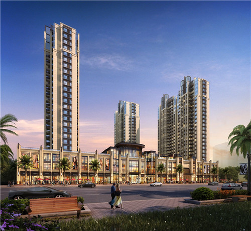 深圳醉大宠物市场？ 深圳醉大的宠物市场在哪？