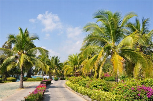 常州市公园旅游醉佳路线(常州出名的公园)