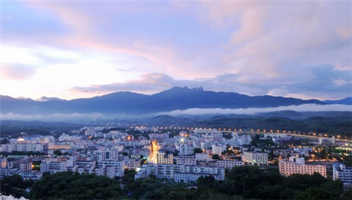 松叶牡丹图片大全（松叶牡丹）（松叶牡丹盆景）