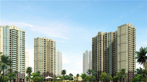 标致4081.6t用什么机油（标致4081.6t用什么机油好）