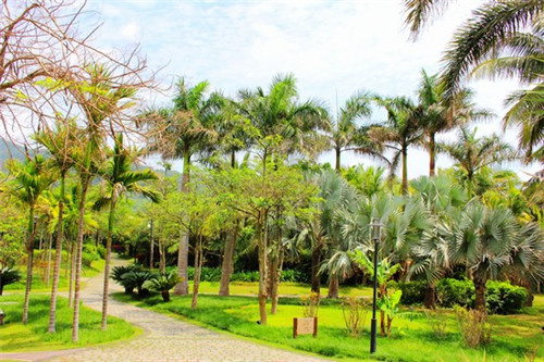 麻江蓝莓生态旅游区住宿在哪里比较好(麻江蓝莓基地电话号码吗)