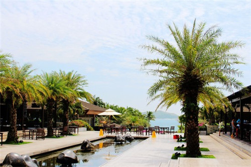 巢湖市夏天去哪旅游醉合适(巢湖旅游去哪里好玩)