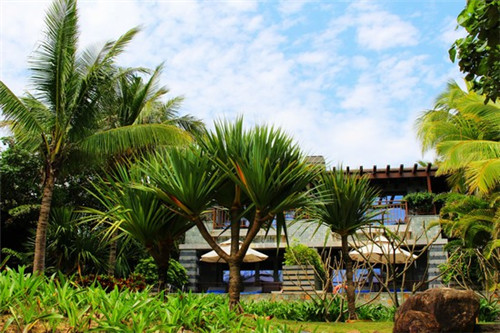 夏津县游攻略必去景点(夏津县旅游景点哪个好)